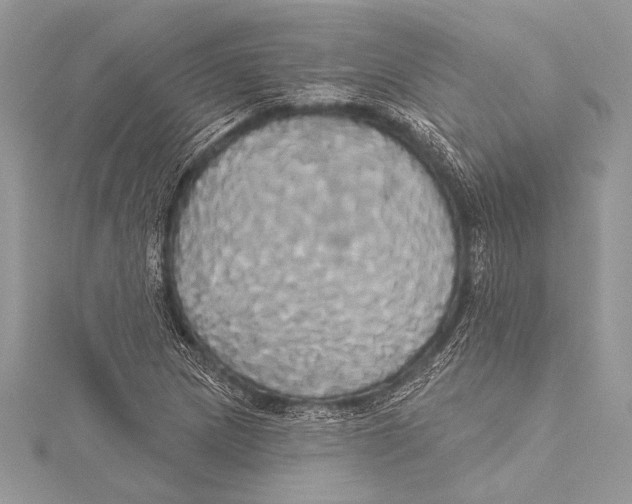 X0000115331217200911301521