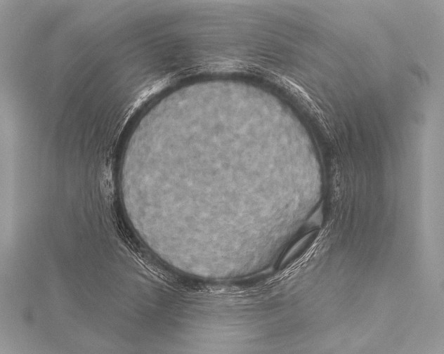 X0000115331218200911301521