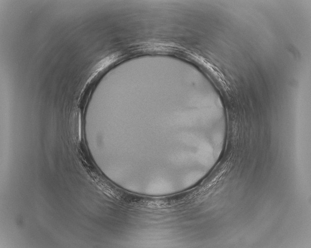 X0000115331219200911301521