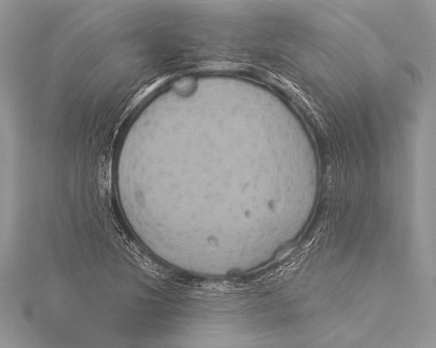 X0000115331220200911301521