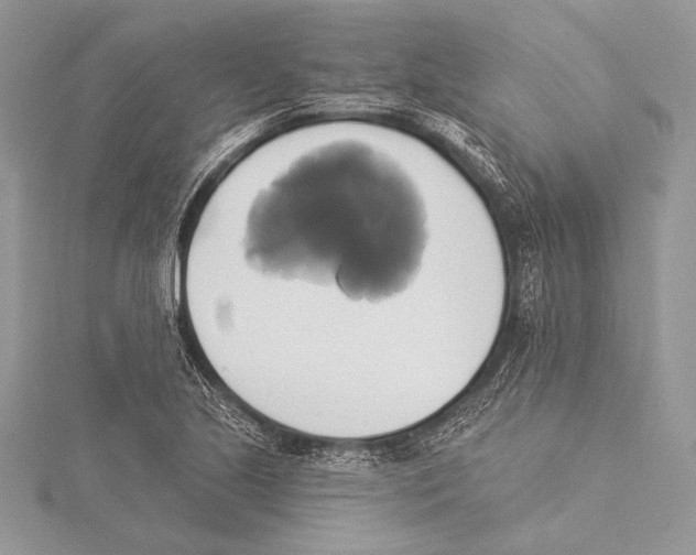 X0000115331221200911301521