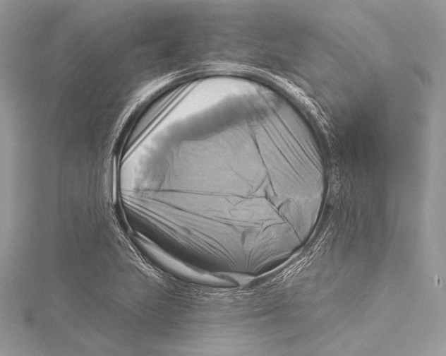 X0000115331223200911301521