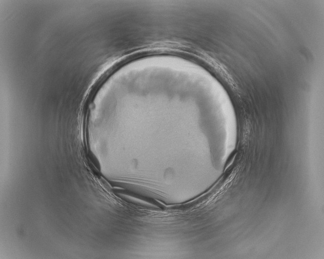 X0000115331224200911301521