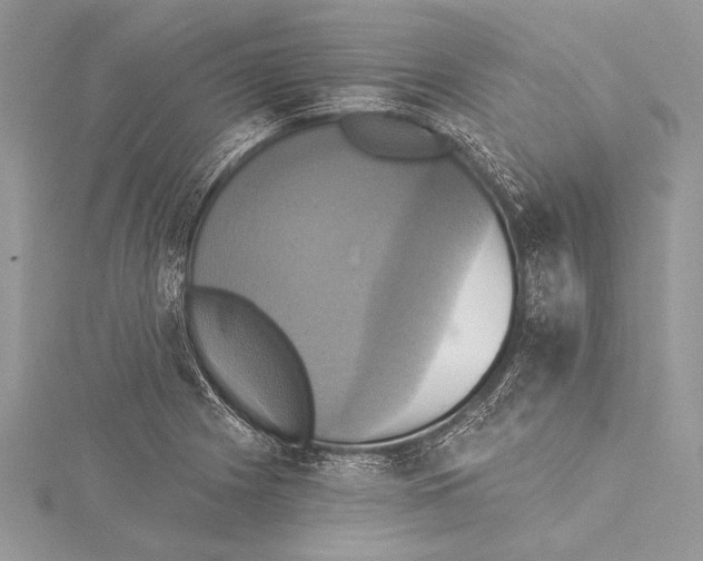 X0000115331225200911301521