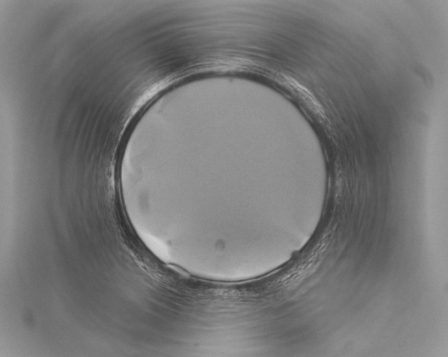 X0000115331226200911301521