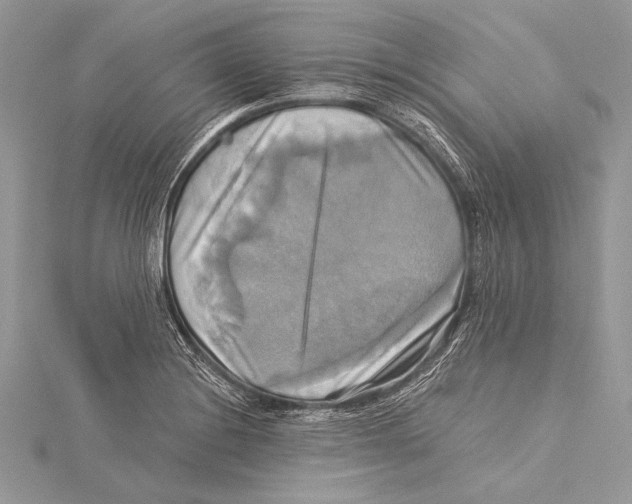 X0000115331228200911301521