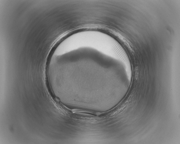 X0000115331229200911301521