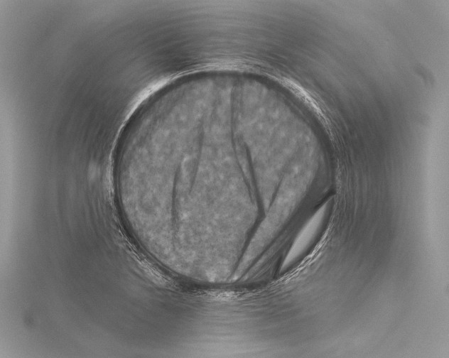 X0000115331230200911301521