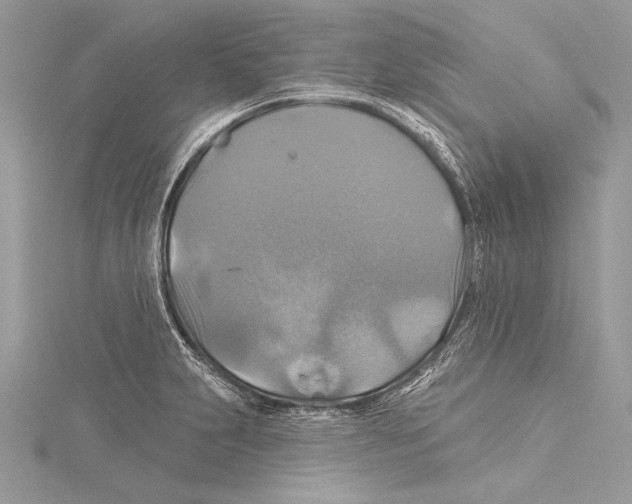 X0000115331231200911301521