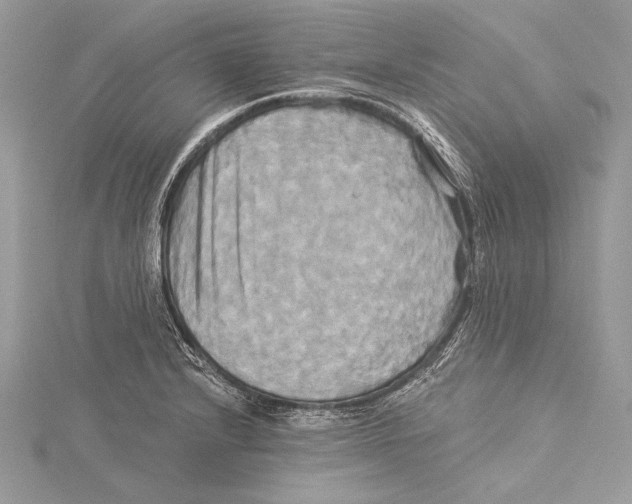 X0000115331232200911301521