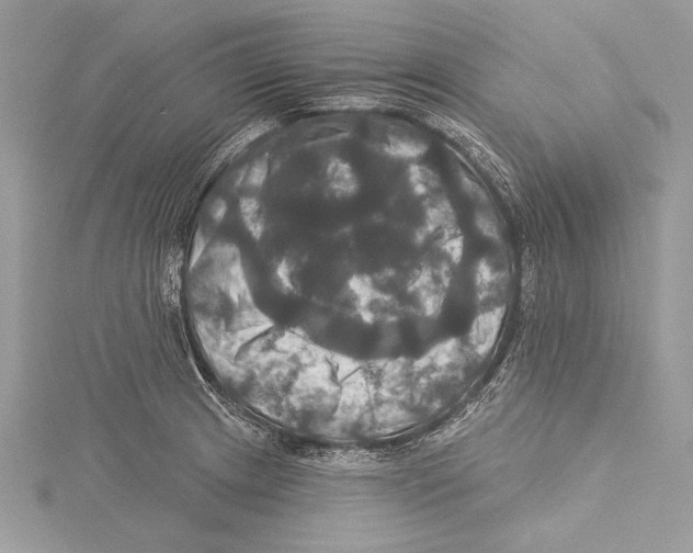 X0000115331233200911301521