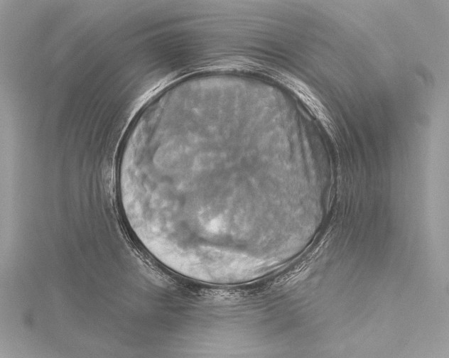 X0000115331234200911301521