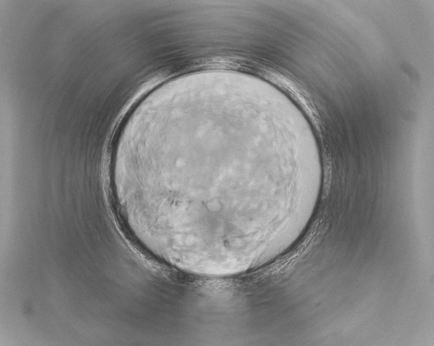 X0000115331235200911301521