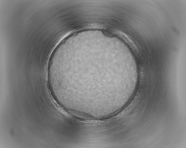 X0000115331236200911301521