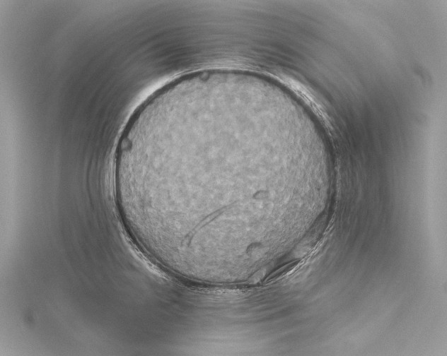 X0000115331238200911301521