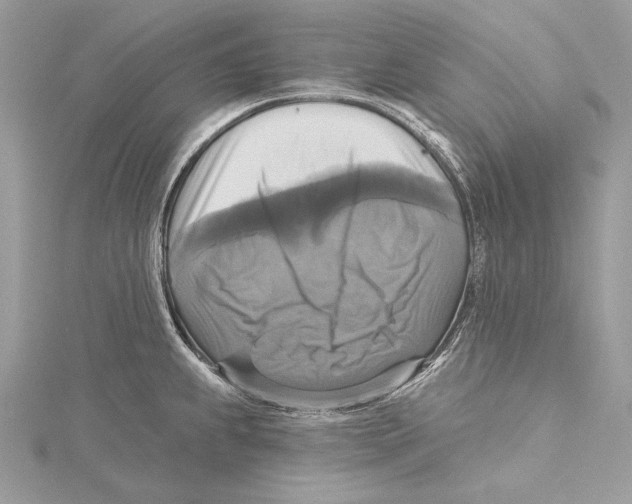 X0000115331239200911301521