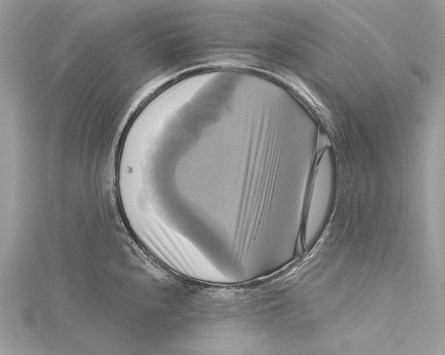 X0000115331240200911301521