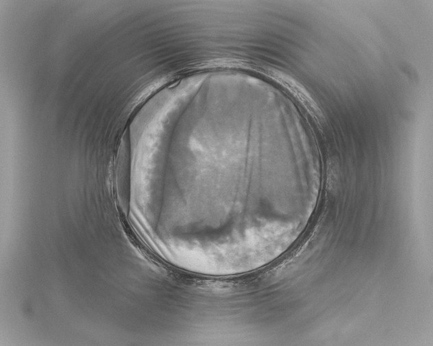 X0000115331241200911301521