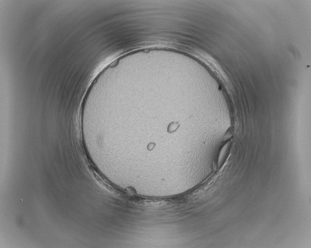 X0000115331242200911301521