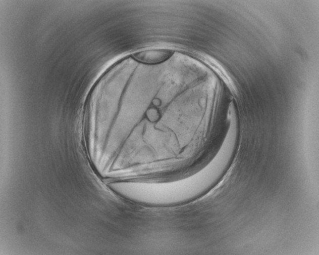 X0000115331244200911301521