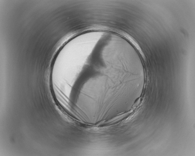 X0000115331245200911301521