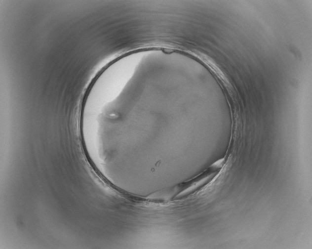 X0000115331246200911301521