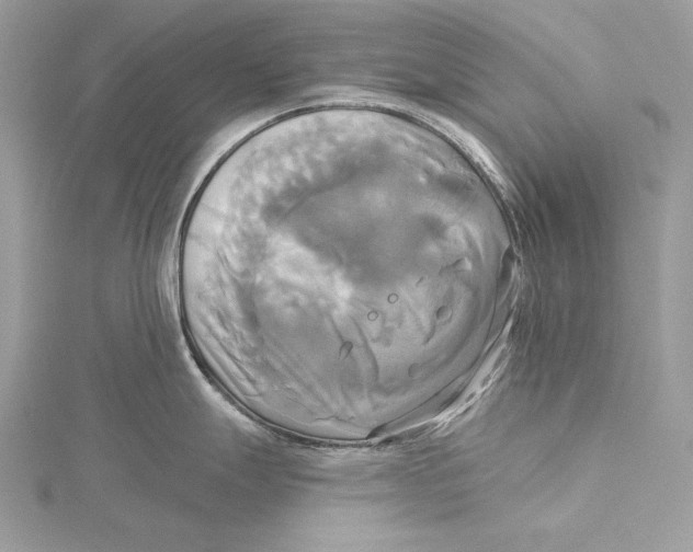 X0000115331247200911301521