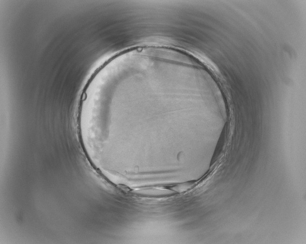 X0000115331248200911301521