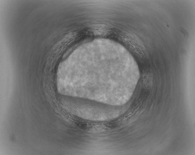 X0000115331249200911301520