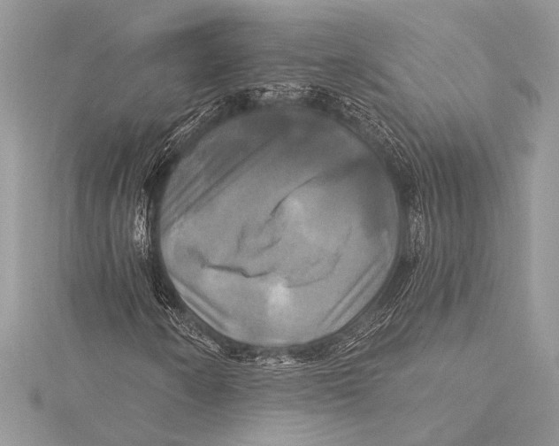 X0000115331250200911301520