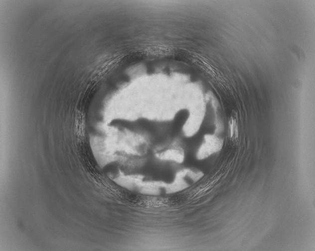 X0000115331251200911301520