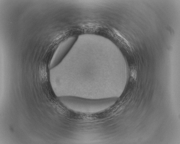 X0000115331252200911301520