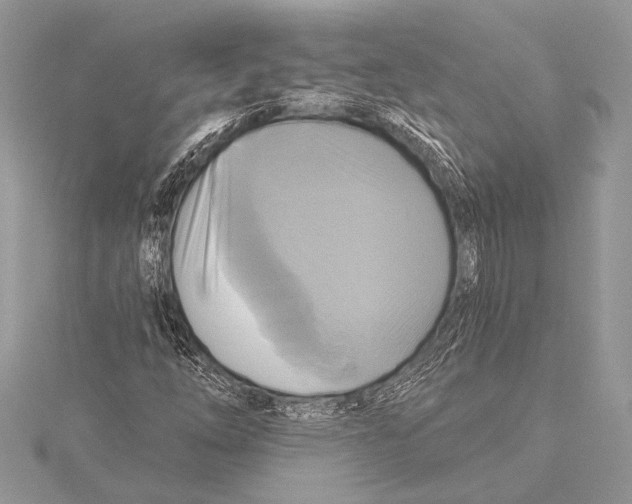 X0000115331254200911301520