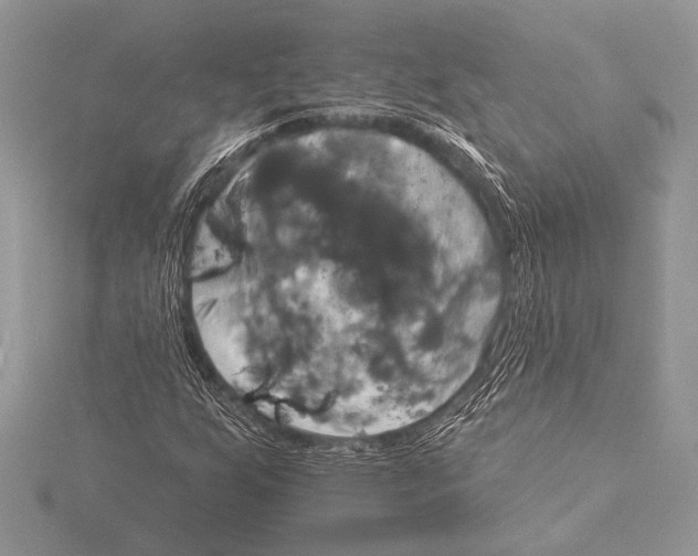 X0000115331255200911301520