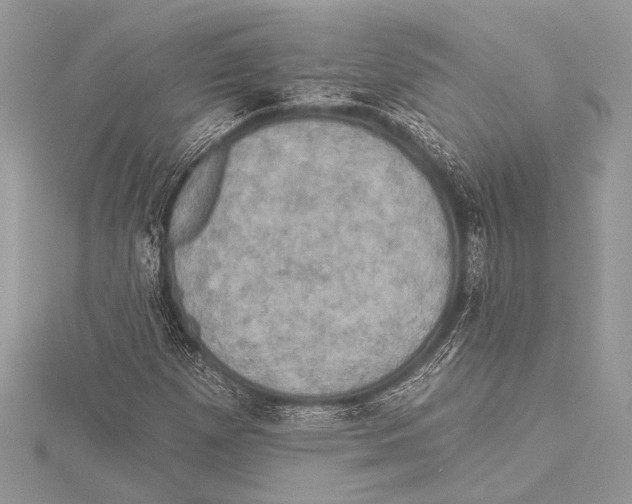 X0000115331257200911301520