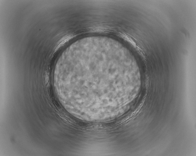 X0000115331259200911301520