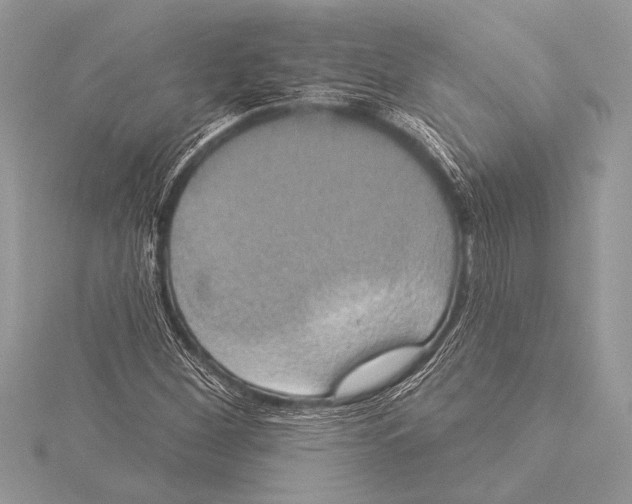 X0000115331260200911301520