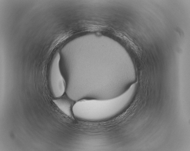 X0000115331261200911301520