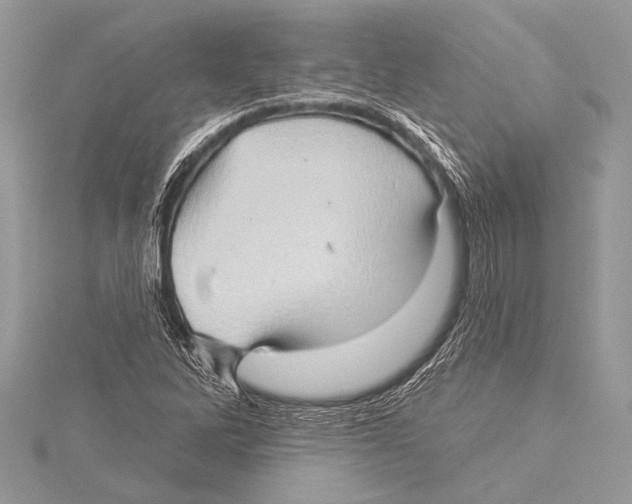 X0000115331262200911301520