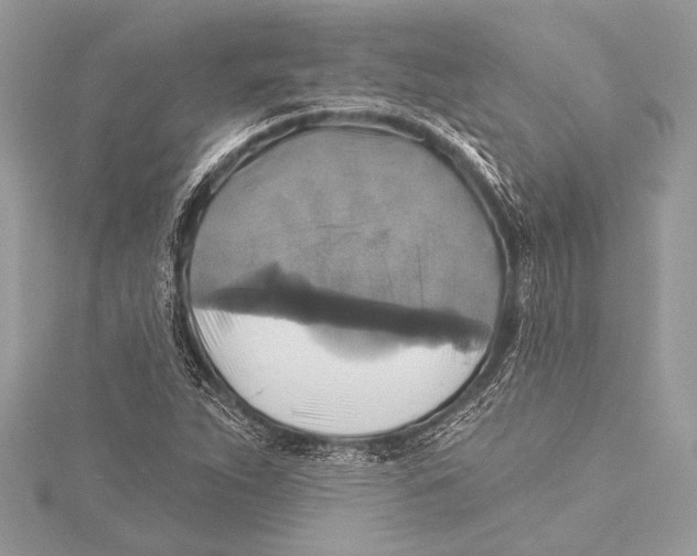 X0000115331263200911301520