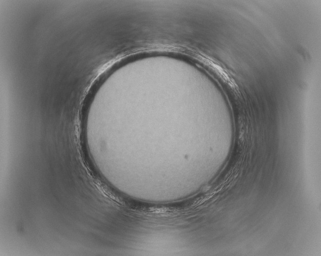 X0000115331264200911301520