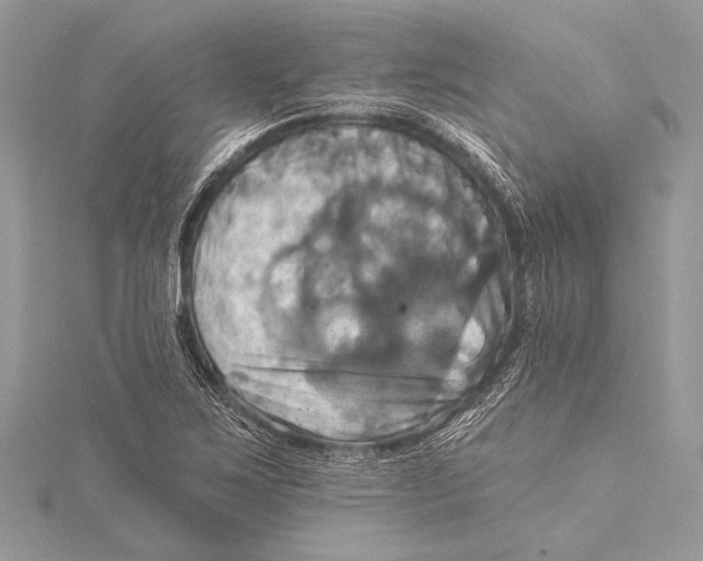 X0000115331267200911301520