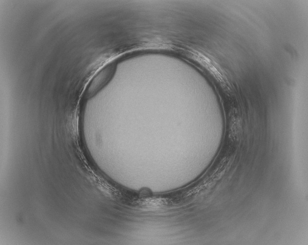 X0000115331268200911301520