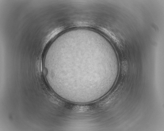 X0000115331269200911301520