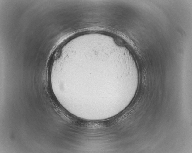 X0000115331270200911301520