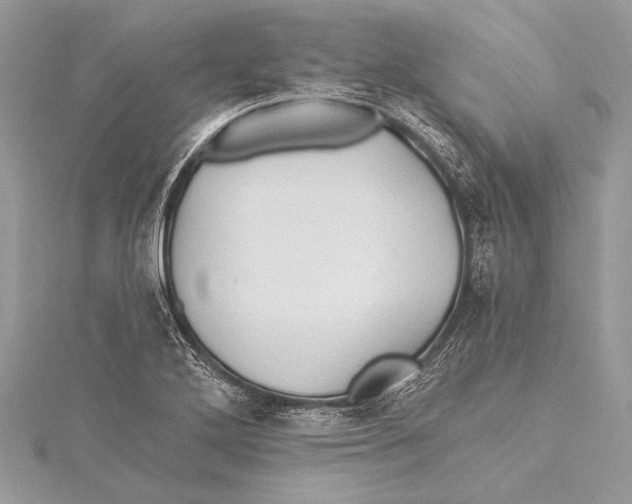 X0000115331272200911301520