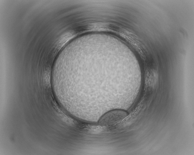 X0000115331273200911301520