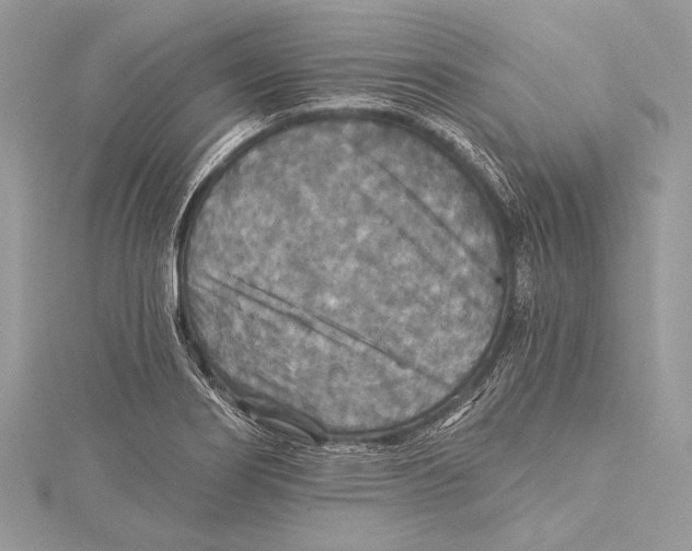 X0000115331274200911301520