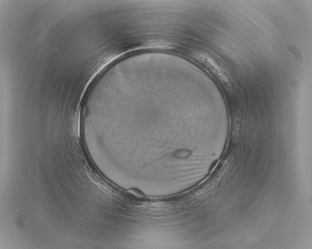 X0000115331276200911301520