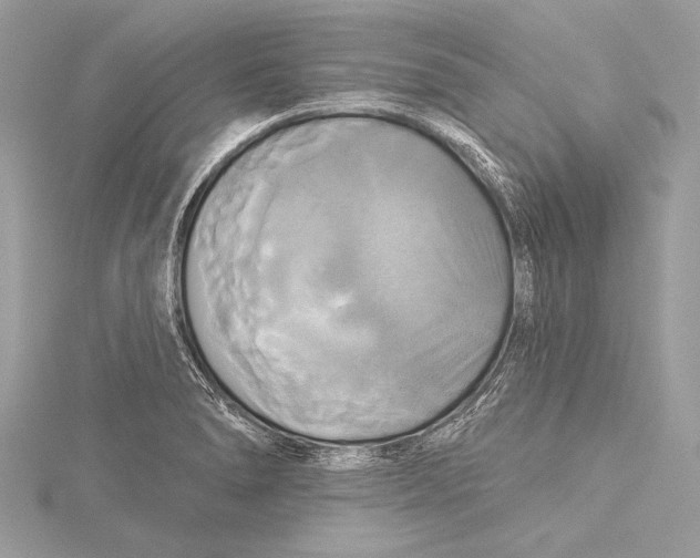 X0000115331278200911301520